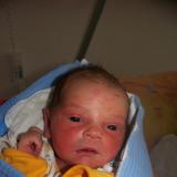 Dav�dek Hadrbolec 28.6.2009